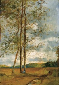 Birch In Montoire, Near Blois